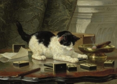 henriette-ronner-knip-an073