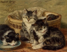 henriette-ronner-knip-an074