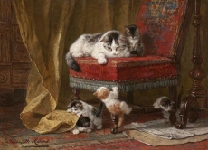 henriette-ronner-knip-an075