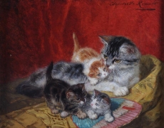 henriette-ronner-knip-an076