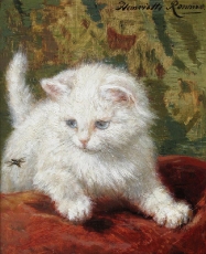 henriette-ronner-knip-an077