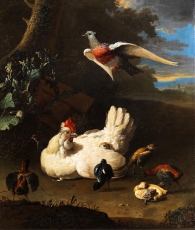 melchior-dhondecoeter_an143