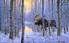 derk_hansen-hnt096