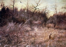 hunting-hnt073
