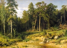 shishkin-smr059