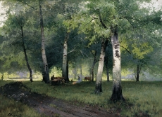 summersmr0159
