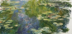 monet-wt056