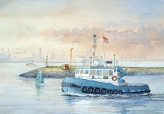 Watercolor_ WC052