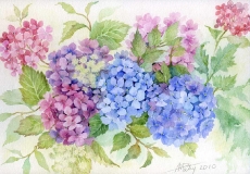 watercolor_-wc069