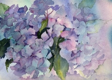 watercolor_-wc070