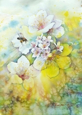 watercolor_-wc094